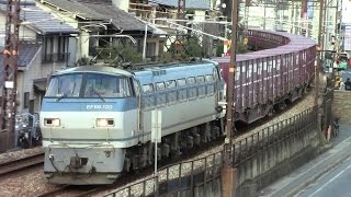 【山陽本線】JR貨物　EF66-120号機牽引　遅2073レ貨物列車