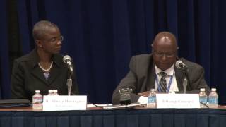 CBCF ALC 2014 Africa Braintrust (Part 1)