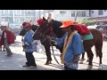 2008台南學甲慈濟宮刈香遶境活動紀實1