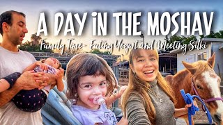 A DAY IN THE MOSHAV | Yohanna Tal