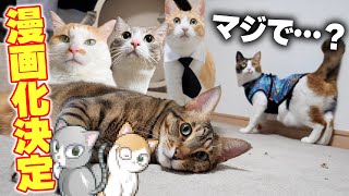 【重大発表】うちの猫たちが漫画になって連載されることになりました！！！！！！