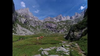 Escursione al rifugio Allievi