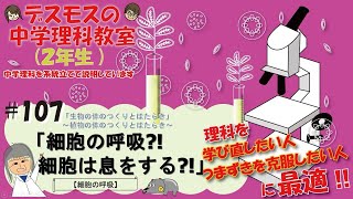 #107  「細胞の呼吸とは⁉️を説明しています♪」【生物のつくりとはたらき】〜生物をつくる細胞〜内呼吸