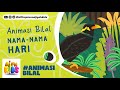 AFN Kids - Nama Nama Hari (Animasi)