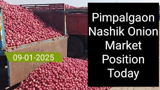 Nashik Onion Market Positions,  Rates and insights | GREEN SOURCE | 09-01-2025