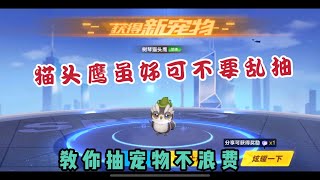 qq飞车手游:猫头鹰虽好可不要乱抽，这样抽才不会造成浪费