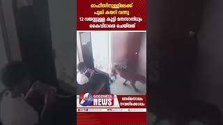 ഓഫീസിനുള്ളിലേക്ക് പുലി കയറി.കുട്ടി മനസാനിധ്യം കൈവിടാതെ ചെയ്തത്|CHILD |WILD ANIMALS|VIRAL|GOODNESS TV