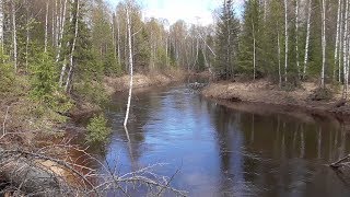 В таёжную избушку на 3 дня.  Жизнь в тайге.  /1 часть/