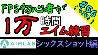 【Aim Lab】FPS経験０から10000時間エイム練習したら上達するのか?(969時間目)