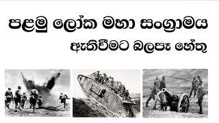 පළමු ලෝක යුද්ධය ඇතිවීමට බලපෑ හේතු (Causes of World War I )