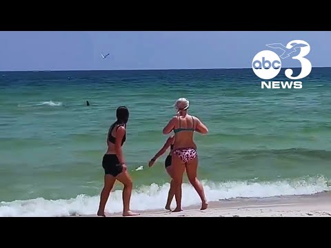 Do most shark attacks happen close to shore?