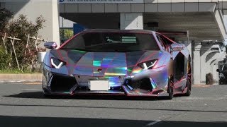 2019.5.2  GWのお台場にスーパーカー現る！ supercar appears in odaiba！