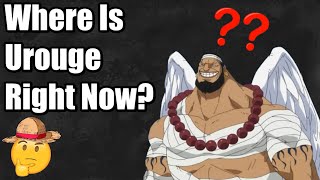 Where Is Urouge And When Will He Return? One Piece Discussion