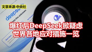 爆红后DeepSeek掀疑虑 世界各地应对措施一览