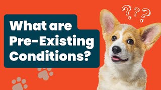 What Are Pre-Existing Conditions In Pet Insurance? Unmasking The Truth!