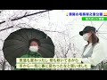 【美映像】「毛馬桜之宮公園」の桜　大正１２年に植樹始まり…約４８００本が満開（2022年4月1日）