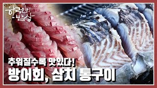 [한국인의 밥상] ❄️추워질수록 맛있다! 🐟방어와 대삼치로 차린 푸짐한 밥상 “이 겨울 제맛! 통영·고성 제철 밥상” (KBS. 20211209 방송)