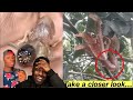 When Nature Gets a Little Too Creative…