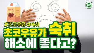 초코우유가 숙취 해소에 좋다고?/ 헬스케어투데이 healthcare today