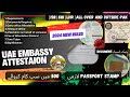 Ultimate Guide to UAE Embassy Degree Attestation💯| Step-by-Step