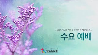 밀양감리교회수요예배  🏡(2024년 11월 27일)  / 누가복음 19장 11-27절/ 잘하였도다. 착하고 충성된 종이여!!!