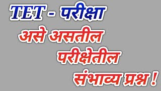 TET असे असतील परीक्षेतील संभाव्य प्रश्न !