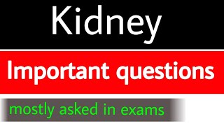 kidney important questions mostly asked in exams