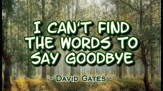 I Can't Find The Words to Say Goodbye - David Gates (KARAOKE VERSION)