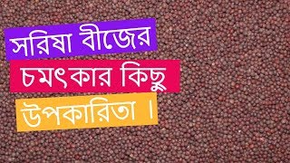 সরিষা বীজের চমৎকার কিছু উপকারিতা। সরিষা বীজের অনেক স্বাস্থ্য উপকারিতা |