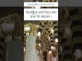 ইলেক্ট্রিক ব্যাট দিয়ে মশা মারা কি জায়েয