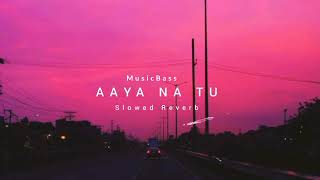 Aaya na tu  - Slowed Reverb | MusicBass