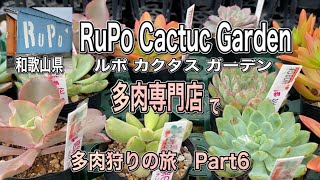 【ガーデニングＤＩＹ】多肉専門店 RuPo Cactus Garden ルポ カクタス ガーデンさんで多肉狩りの旅 Part6