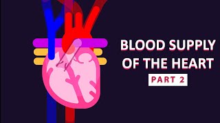 How The Heart Supplies Blood to Itself (Part 2)