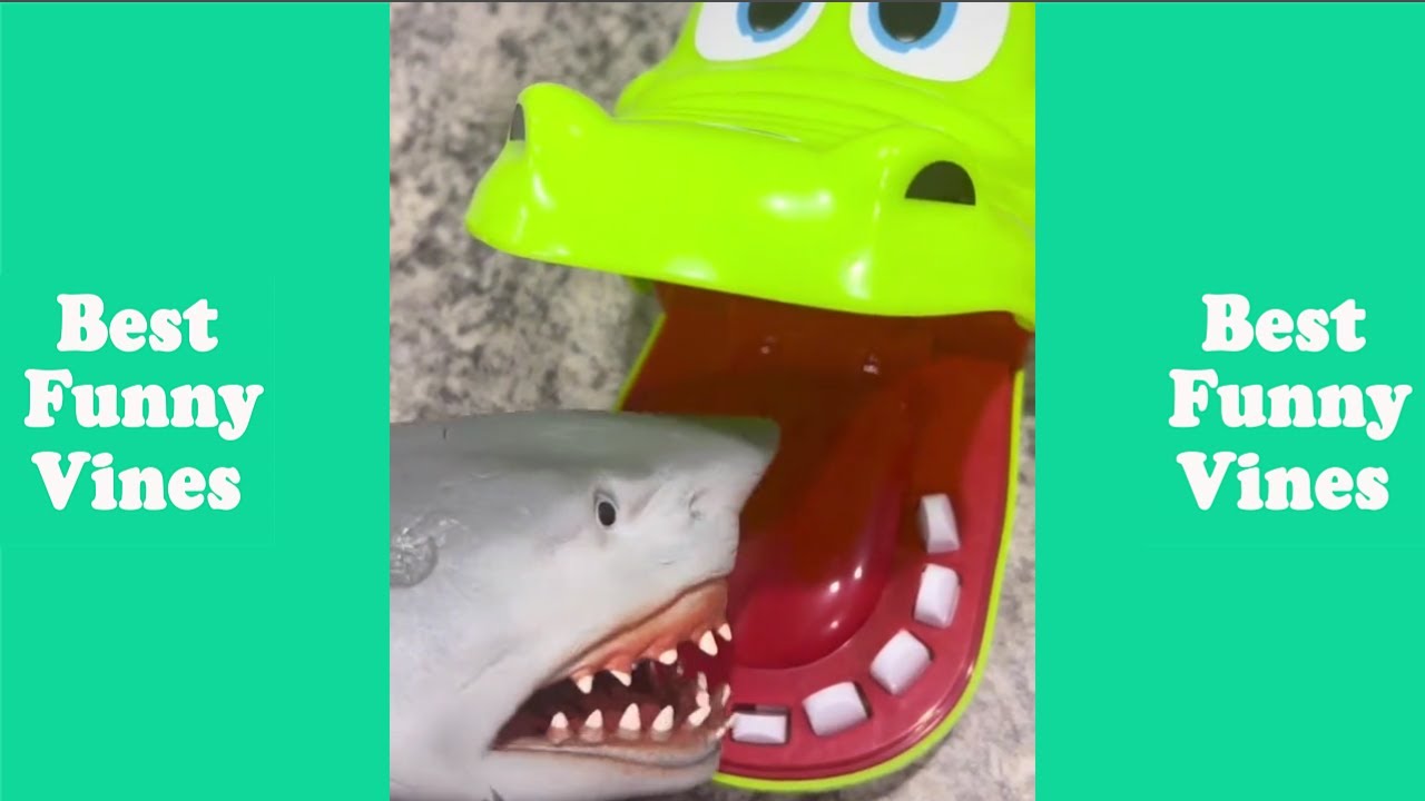 Shark Puppet The Most Watched Funny Tik Tok 2022 Feeling All Good