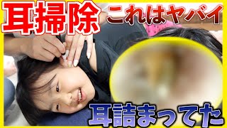 【閲覧注意】耳掃除したら耳垢ゴッソリで本当に本当にヤバかった