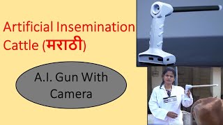 Artificial Insemination Cattle। कसे केले जाते गायीचे कुत्रिम रेतन।A.I.Gun With Camera Price In India