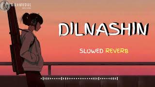 Dilnashin Dilnashin Lofi Remix || Tik Tok Viral Song ( Slowed Reverb ) || Mahmudul Ornob