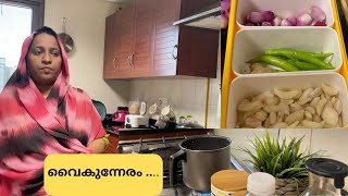 വൈകുന്നേര  വിശേഷങ്ങൾ |Evening to Night Vlog Malayalam | Chapathi Dough Making In Food Processor