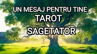 🌻🌳🌼 SAGETATOR 🌻🌳🌼 UN MESAJ PENTRU TINE 🌻🌳🌼 LAS CARTILE SA VORBEASCA 🌻🌳🌼#tarot #sagetator