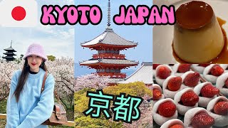 Kyoto Japan Travel Vlog🇯🇵nishiki market, cherry blossom🌸, day trip to Osaka \u0026 Kobe 京都旅遊