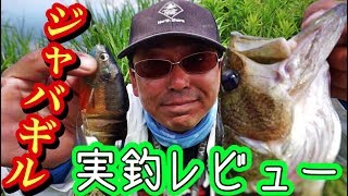 イマカツ・ジャバギルどんな感じで釣れるの？【おかっぱりでバス釣りインプレ】