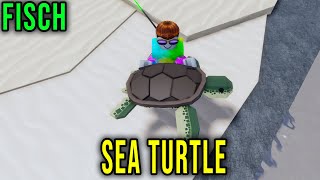 SEA TURTLE - HOW TO GET [FISCH] - Roblox