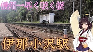 【JR東海飯田線】二月に咲く寒桜が名所　ホームからの眺め良し　伊那小沢駅を訪問【東北きりたん】