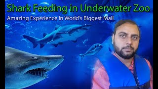 Dubai Mall Aquarium Tour & Under Water Zoo | Shark Feeding in Dubai Aquarium | Trip2Watch