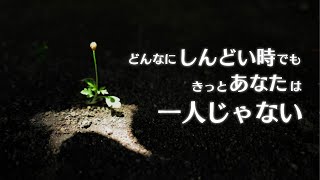 仕事を辞めたいと思ったり、人生で壁にぶつかる瞬間の、しんどい時の乗り越え方。名言　心に響く話