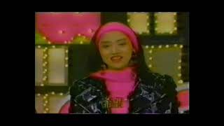 1991 歡樂傳真 (梅艷芳 Anita Mui)