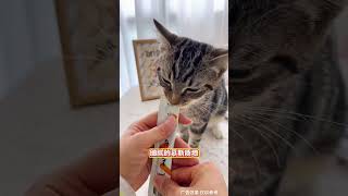 真正的鲜肉猫条，健康又解馋新手养猫 科学养宠攻略 养猫经验分享 萌宠好物 养猫人