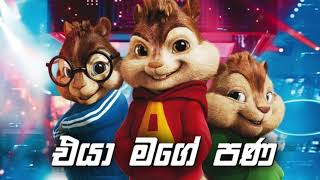 එයා මගේ පණ (Eya Mage Pana) | Vini New Song | Chipmunk Version