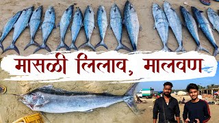 मालवण मासळी लिलाव | संपूर्ण माहिती | Malvan fish auction | Konkan vlog