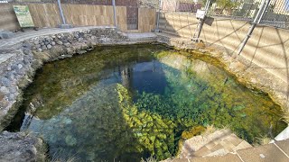 Al Kasfah hot water spring | 4K UHD | Oman Vlog | The Healing waters of Ayn Al Kasfah | عين الكسفة |